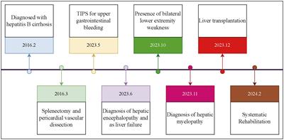 Liver transplantation and comprehensive rehabilitation in the reversal of hepatic myelopathy: a case report